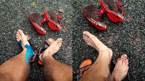 11 Juan De Fuca Trail 50k