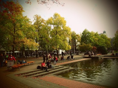 OLYMPUS DIGITAL CAMERA