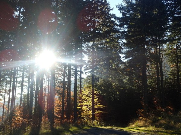 Noční přechod Vysočiny, Beskydy a 3000&nbsp;km+