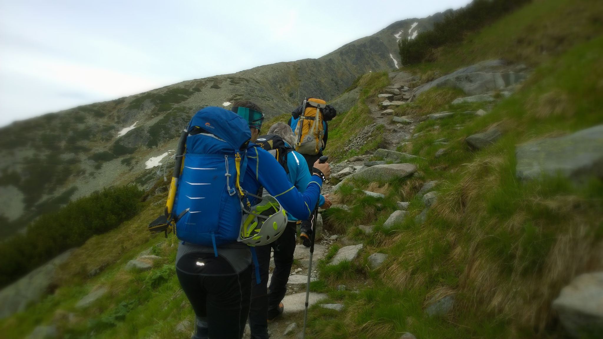 13392175_10208632450522053_2119244895710000382_o