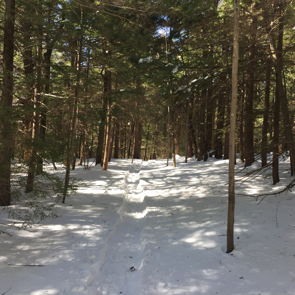 Sněhové překvapení v New Hamsphire