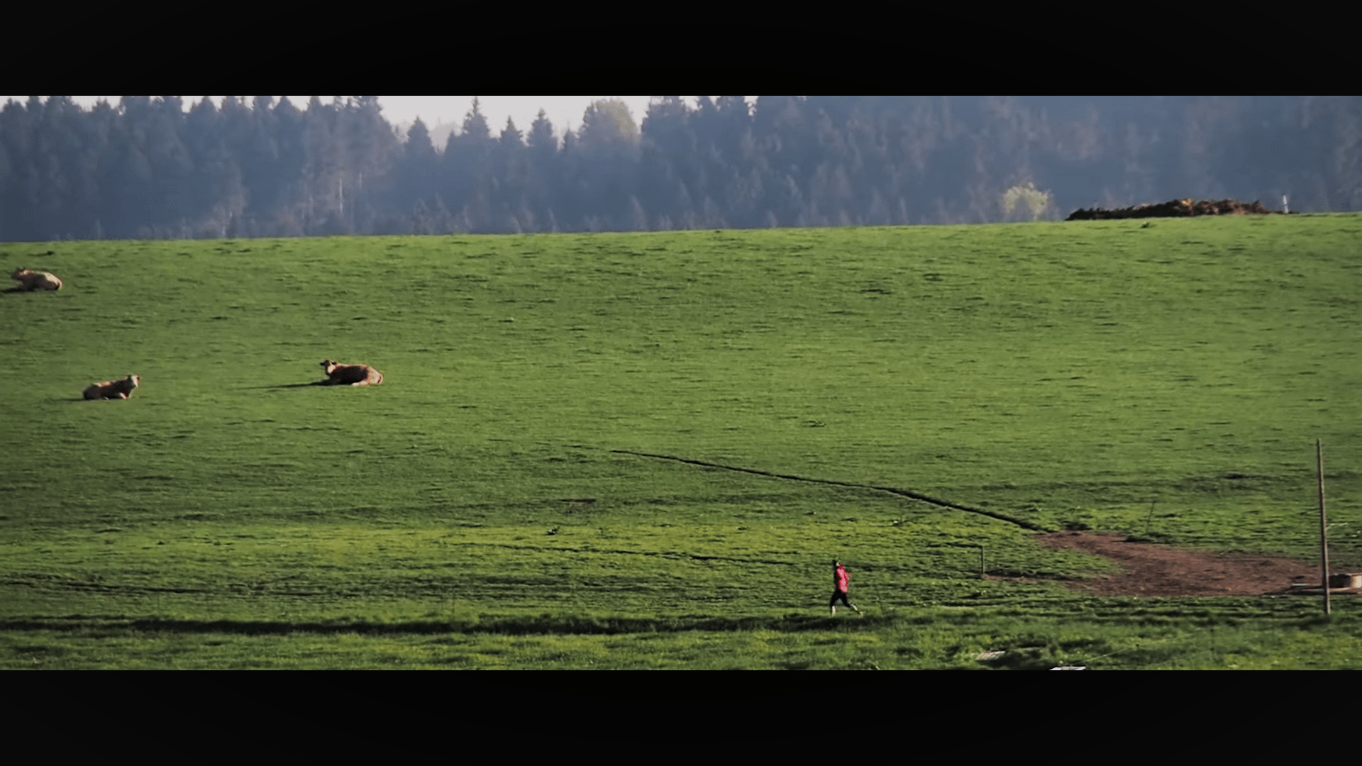 2018-05-08 18_57_56-FKT Žďárské vrchy (51k_1600m+) - YouTube