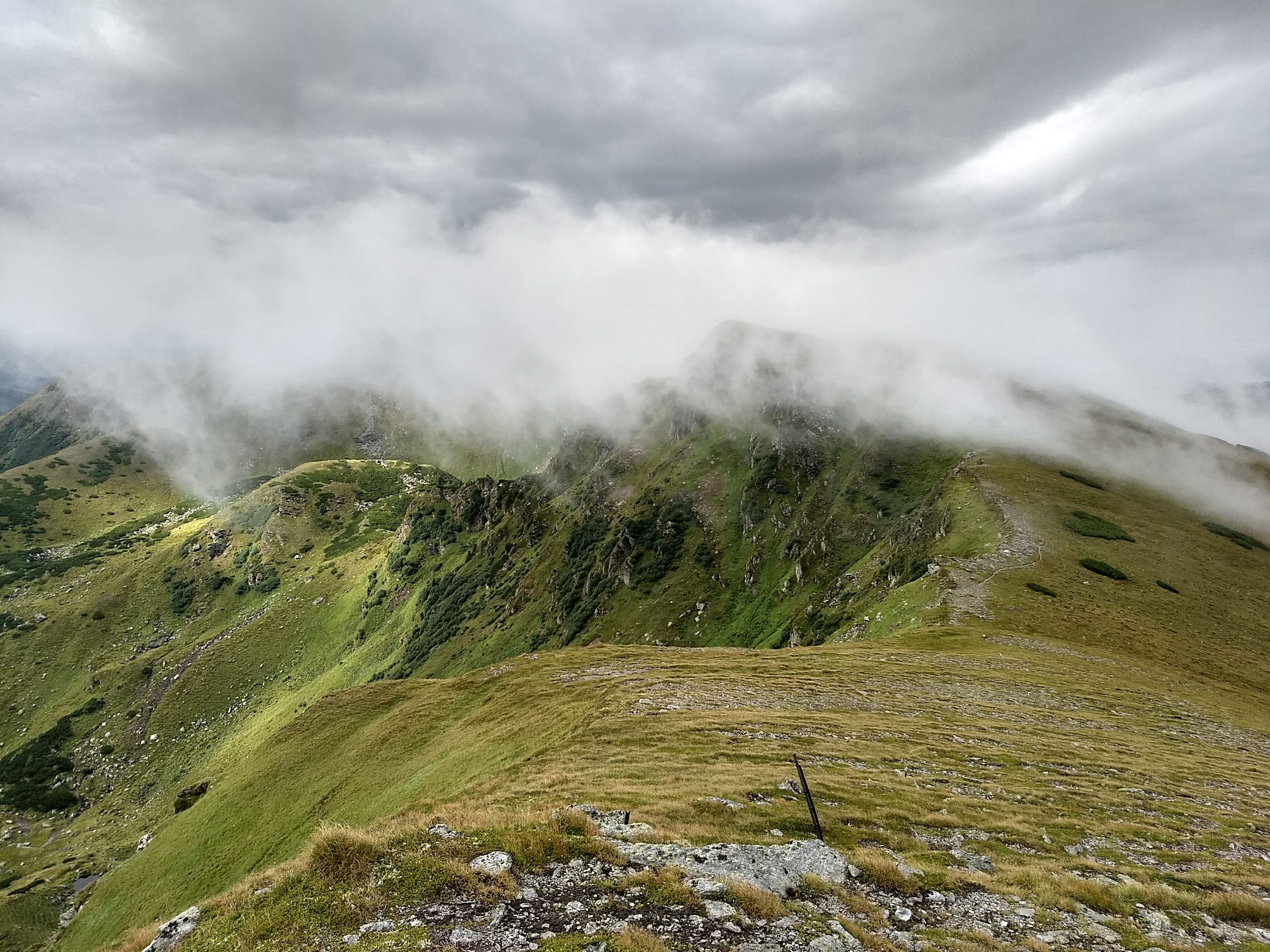 IMG_20180811_090751116_HDR